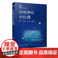 太阳能利用前沿技术丛书 光电净化水处理 光电材料在水处理中应用 光电器件水处理新技术光电材料与环境应用 光电催化污水处理