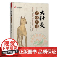 犬针灸穴位图谱 9787559118677 马爱团 许文武编译 犬中兽医诊疗技术 针灸图谱 犬针灸穴位图谱