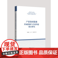 产业协同集聚形成机制与空间外溢效应研究/陈国亮/袁凯/徐维祥/浙江大学出版社