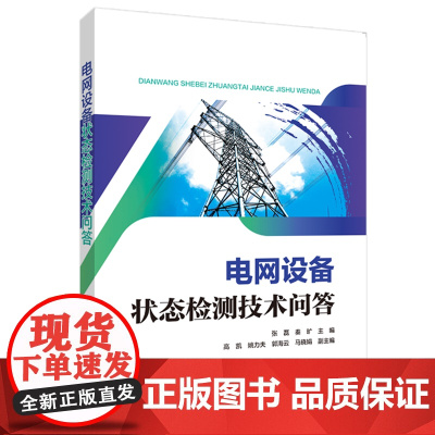 电网设备状态检测技术问答 张磊,秦旷 编 能源与动力工程专业科技 正版图书籍 中国电力出版社