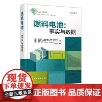 燃料电池 事实与数据 燃料电池领域前沿成果 氢燃料品质 燃料电池汽车氢耗 新能源电动汽车发展现状 燃料电池移动式固定式应