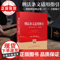 刑法条文适用指引——根据刑法修正案(十一)全新编写