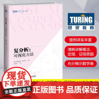 复分析 可视化方法 可视化简明基础本科研究生复分析可视化大学教材 Complex Analysis 旧金山大学教授力作领