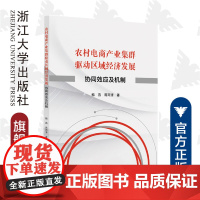 农村电商产业集群驱动区域经济发展:协同效应及机制/梅燕/蒋雨清/浙江大学出版社