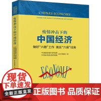 疫情冲击下的中国经济 做好"六稳"工作 落实"六保"任务 中国建设银行研究院中国宏观经济研究院联合课题组 著 经济理论经