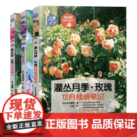 全3册 灌丛月季玫瑰12月栽培笔记绣球藤本月季全套玫瑰花栽培种植养花书籍 病虫害与栽培技术技巧花束设计与制作栽培修剪书