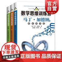 数学思维训练营趣味数学题系列 乔治萨默斯的趣味数学题/马丁加德纳的趣味数学题/萨姆劳埃德的趣味数学题上海科技教育出版社