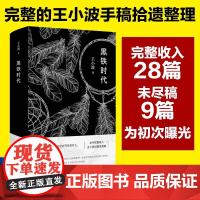 [正版]黑铁时代 王小波 著 收录了王小波的18个短篇作品 现代当代文学 王小波黑色风格小说 荒诞之风尽显 短篇小说书籍