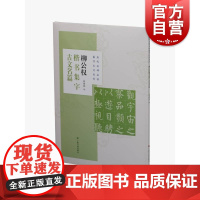 历代名碑名帖集字古文系列柳公权楷书集字古文名篇 吴金花兰亭序桃花源记陋室铭醉翁亭记爱莲说心经墨池记 上海书画出版社