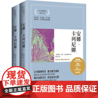 安娜·卡列尼娜(全2册) (俄罗斯)列夫·托尔斯泰 著 靳戈 译 自由组合套装文学 正版图书籍 湖南文艺出版社