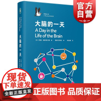 焦尾Tyler抖音 大脑的一天 企鹅鹈鹕丛书 苏珊格林菲尔德 马伯庸 人脑之谜意识科普知识读物经典企鹅图书上海文艺出版社