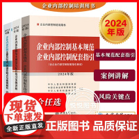 2024年新版 企业内部控制基本规范配套指引+案例讲解+主要风险点关键控制点与案例解析 立信会计社企业内部控制培训参考用