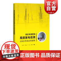 高压电缆现场局部放电检测百问百答及应用案例 概述检测原理现场作业要求应用实际效果电力从业人员指导阅读书上海科学技术出版社