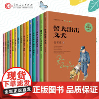 正版 金曾豪文集共十五册 白色野猪凤凰山谷绝谷猞猁狼的故事孩不带伞青春口哨绝招狐狸只有一件衣裳儿童文学寒暑假学校老师