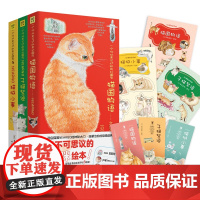 [正版]《猫国物语》系列(10周年纪念版)全3册 猫国物语+子猫絮语+猫城小事