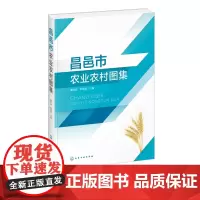 昌邑市农业农村图集 黄伟波 尹建国 农业基础科学 林业 新农村农业设施建设实用技术图集 农村建设田园综合体规划