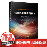 化学热处理实用技术 齐宝森 王忠诚 高温化学热处理低温化学热处理多元共渗复合处理工艺特点及应用实例书籍 热处理行业工程技