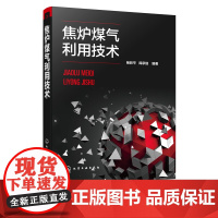 焦炉煤气利用技术 杨跃平 阎承信 焦炉煤气的组成性质净化处理技术书籍 焦炉煤气制甲醇乙醇乙二醇氢气氢能焦炉煤气综合利用工