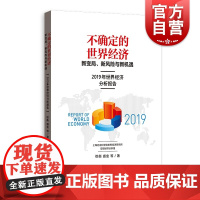 不确定的世界经济 新变局、新风险与新机遇 2019年世界经济分析报告 权衡 盛垒 著 政治经济学 经济形势专题分析