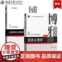 钱铭怡 变态心理学+心理咨询与心理治疗 重排本 北京大学出版社 北大心理学教材变态心理学教程心理咨询治疗原理方法考研教材