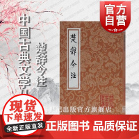 楚辞今注 中国古典文学丛书 宋代洪兴祖楚辞补注为底本重新作注 古典文学 上海古籍出版社