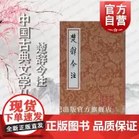 楚辞今注 中国古典文学丛书 宋代洪兴祖楚辞补注为底本重新作注 古典文学 上海古籍出版社