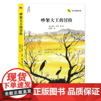 神秘岛 飞行历险系列 吵架大王的冒险 圭多孔蒂著 广西师范大学出版社