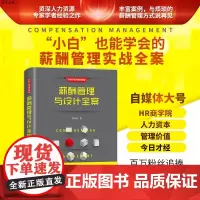 薪酬管理与设计全案(新时代·管理新思维) 薪酬管理 人力资源 企业管理 工资管理