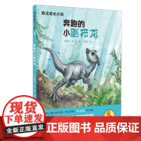 恐龙成长小说1奔跑的小副栉龙 6-12周岁冒险故事书校园小说儿童文学童年图书小学生课外读物一二三四年级课外书阅读7-10