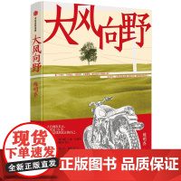 大风向野 练明乔 著 其它小说文学 正版图书籍 中信出版社