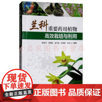 正版 兰科重要药用植物高效栽培与利用 斯金平,邵清松,俞巧仙,吕明亮,吴令上 著 9787503896620