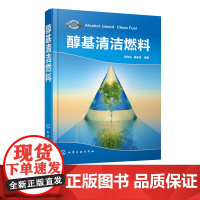 醇基清洁燃料 冯向法 钱奕舟 醇基清洁燃料及其燃具开发研究生产经营书籍 基础原料甲醇和多碳醇性能改良剂产品质量标准推广应