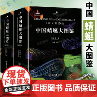 中国蜻蜓大图鉴上下册中国蜻蜓物种种类的彩色图鉴 蜻蜓知识档案书 介绍蜻蜓知识的大型图书科学探索蜻蜓鉴定识别图鉴