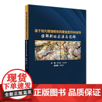 [店 ]基于现代精细解剖的腹盆腔外科指导 膜解剖的求源与思辨 林谋斌 张忠涛 主编 9787117283328 20