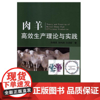 肉羊高效生产理论与实践陈晓勇 敦伟涛 孙洪新 主编 9787565520914