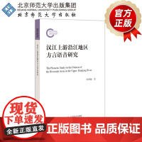 汉江上游沿江地区方言语音研究 9787303241873 柯西钢 著 北京师范大学出版社 正版书籍