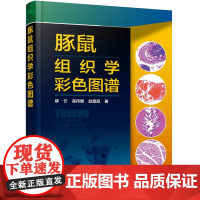 豚鼠组织学彩色图谱 薛云、高伟娜、赵朋超 主编