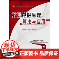 数据挖掘原理、算法与应用 梁亚声 徐欣 等编著 9787111496328机械工业出版社