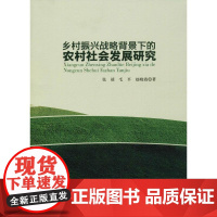 乡村振兴战略背景下的农村社会发展研究 张禧,毛平,赵晓霞 著 著作 社会科学总论经管、励志 正版图书籍