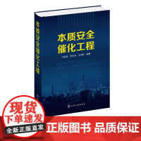 本质安全催化工程 化工催化反应书籍 纳微尺度反应集成 替代危险反应物 化工 安全 材料 工程技术人员专业参考书籍