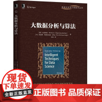 大数据分析与算法 [挪] 拉金德拉·阿卡拉卡(Rajendra Akerkar) [印] 普里蒂· 著 毕冉 译 译 数