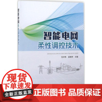 智能电网柔性调控技术 刘华伟,袁晓冬 主编 建筑/水利(新)专业科技 正版图书籍 中国电力出版社