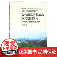 文化创意产业动态及其空间效应:以长江三角洲地区为例/马仁锋/浙江大学出版社