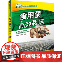 正版 食用菌高效栽培 牛贞福 种植致富直通车 农业经典实用技术图书 技能培训教材