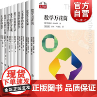 数学桥第二辑 数字的秘密生活/迷人的数学发现/神奇的概率事件/体育艺术生活统计中的数学百宝箱万花筒 上海科技教育出版社科