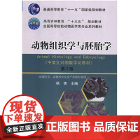 动物组织学与胚胎学 杨倩主编 中国农业大学出版社 9787565519598