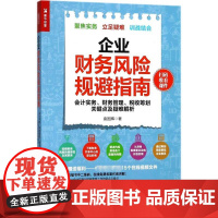 企业财务风险规避指南 会计实务、财务管理、税收筹划关键点及疑难解析 袁国辉 著 财务管理经管、励志 正版图书籍