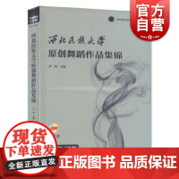 西北民族大学原创舞蹈作品集锦 5DVD(5张DVD)李琦 主编 著作 正版图书籍 上海音乐出版社