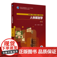 [店 ]人体解剖学 第4版 陈晓杰 孟繁伟 主编 供中医学,针灸推拿,护理等专业用 9787117268059 20