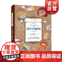 带一本书去博物馆系列图书 手绘海洋生物图谱 绘画技法 艺术绘画 少儿科普读物 上海人民美术出版社